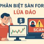 Phân biệt Forex thật và sàn Forex lừa đảo – Cách người mới tránh mất tiền