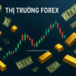 Forex là gì? Thị trường 7000 tỷ đô 1 ngày có dành cho chúng ta?